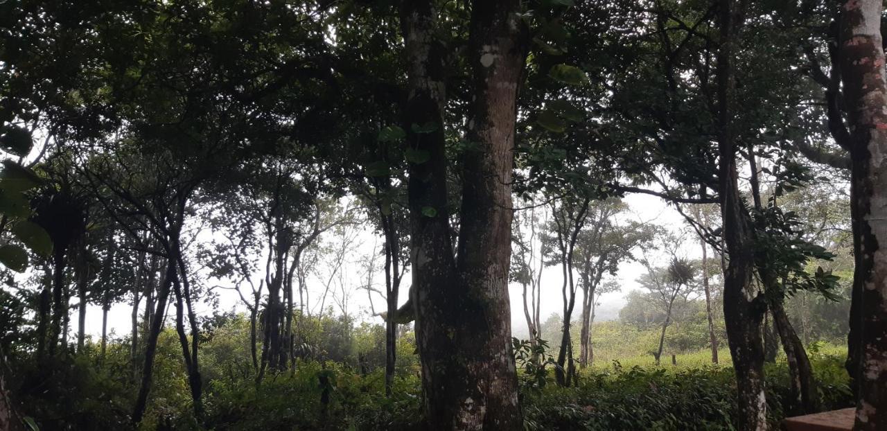 Pousada De Serra Tutuca Guaramiranga Exteriör bild